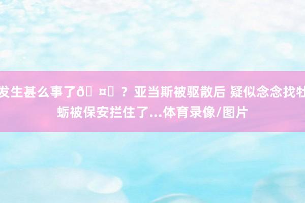 发生甚么事了🤔？亚当斯被驱散后 疑似念念找牡蛎被保安拦住了...体育录像/图片