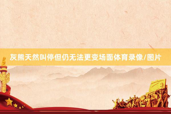 灰熊天然叫停但仍无法更变场面体育录像/图片