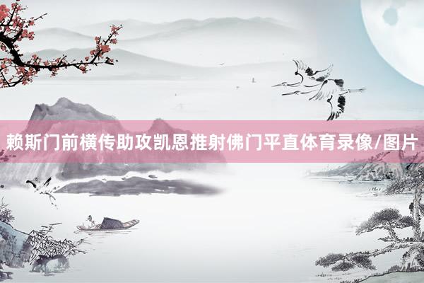 赖斯门前横传助攻凯恩推射佛门平直体育录像/图片