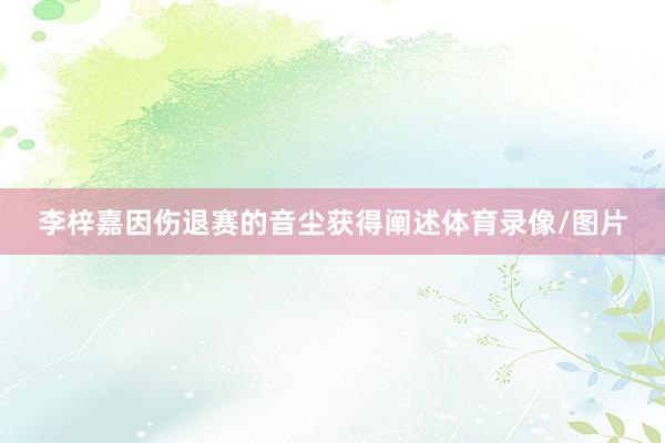 李梓嘉因伤退赛的音尘获得阐述体育录像/图片