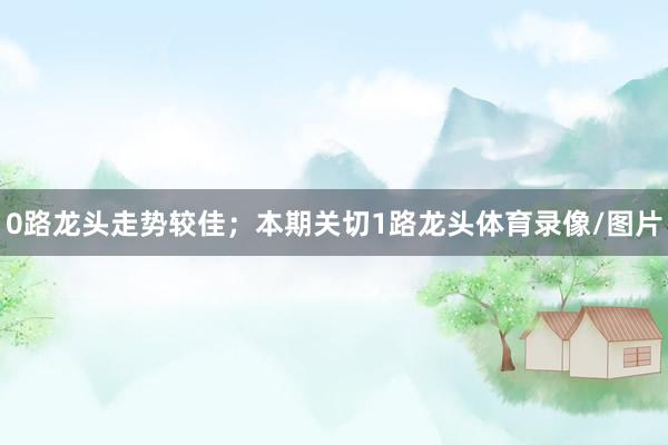 0路龙头走势较佳；本期关切1路龙头体育录像/图片