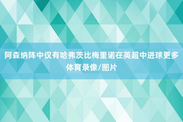 阿森纳阵中仅有哈弗茨比梅里诺在英超中进球更多体育录像/图片