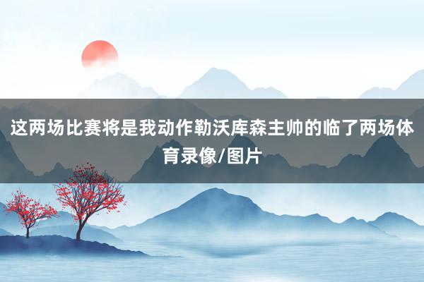 这两场比赛将是我动作勒沃库森主帅的临了两场体育录像/图片