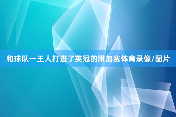 和球队一王人打进了英冠的附加赛体育录像/图片