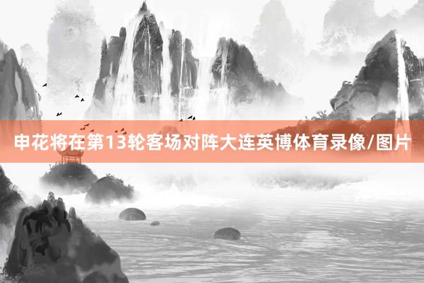 申花将在第13轮客场对阵大连英博体育录像/图片