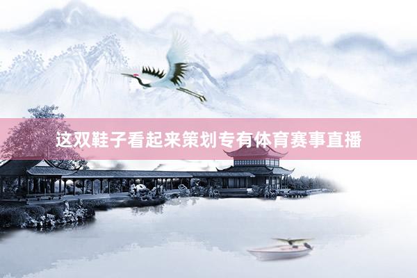 这双鞋子看起来策划专有体育赛事直播