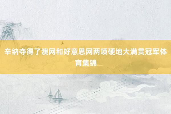 辛纳夺得了澳网和好意思网两项硬地大满贯冠军体育集锦