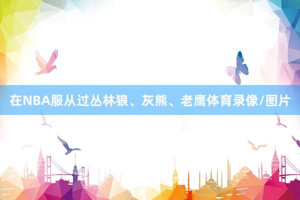 在NBA服从过丛林狼、灰熊、老鹰体育录像/图片