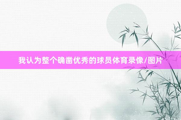 我认为整个确凿优秀的球员体育录像/图片