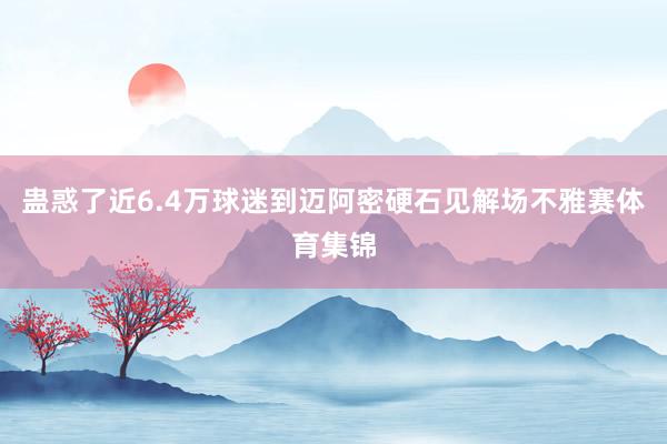 蛊惑了近6.4万球迷到迈阿密硬石见解场不雅赛体育集锦