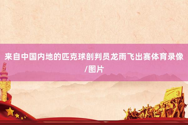 来自中国内地的匹克球剖判员龙雨飞出赛体育录像/图片