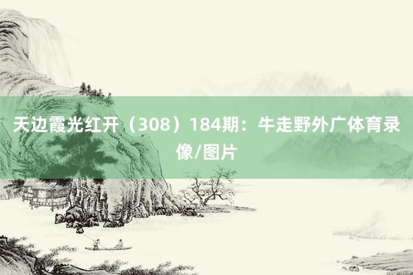 天边霞光红开（308）　　184期：牛走野外广体育录像/图片