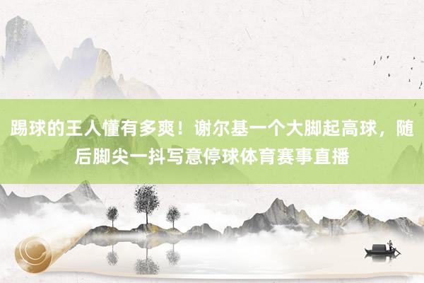 踢球的王人懂有多爽！谢尔基一个大脚起高球，随后脚尖一抖写意停球体育赛事直播