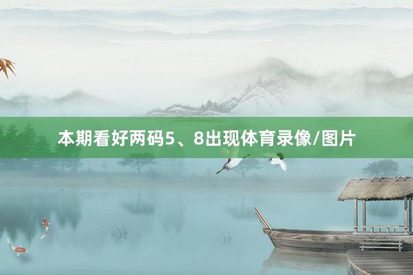 本期看好两码5、8出现体育录像/图片
