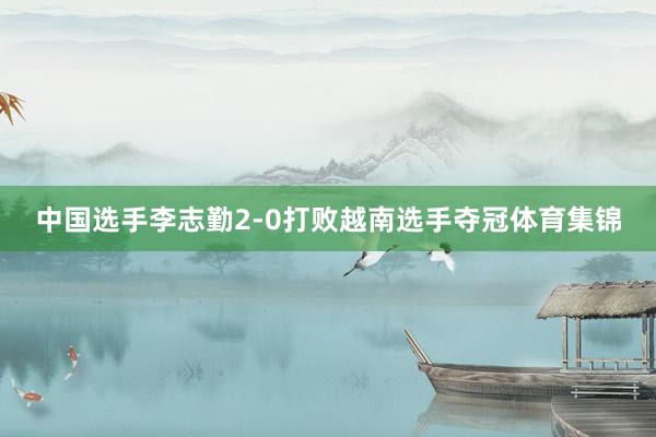 中国选手李志勤2-0打败越南选手夺冠体育集锦