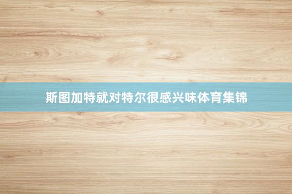 斯图加特就对特尔很感兴味体育集锦