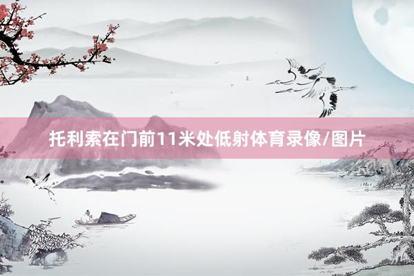 托利索在门前11米处低射体育录像/图片