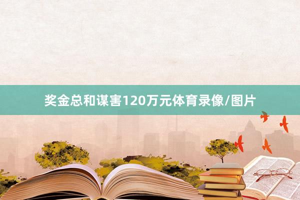 奖金总和谋害120万元体育录像/图片