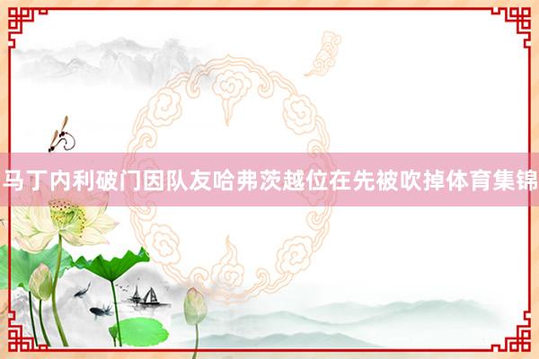马丁内利破门因队友哈弗茨越位在先被吹掉体育集锦