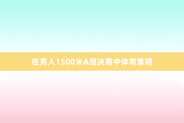 在男人1500米A组决赛中体育集锦