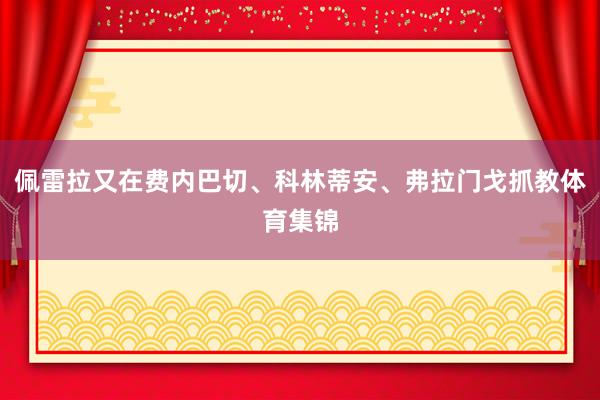 佩雷拉又在费内巴切、科林蒂安、弗拉门戈抓教体育集锦