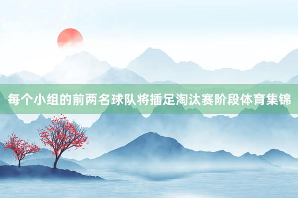 每个小组的前两名球队将插足淘汰赛阶段体育集锦