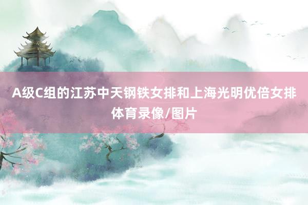 A级C组的江苏中天钢铁女排和上海光明优倍女排体育录像/图片