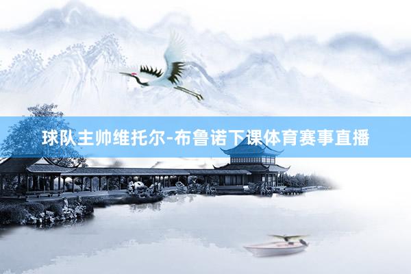 球队主帅维托尔-布鲁诺下课体育赛事直播