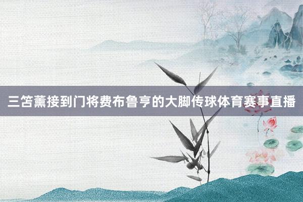 三笘薰接到门将费布鲁亨的大脚传球体育赛事直播