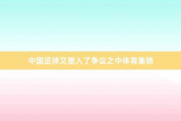 中国足球又堕入了争议之中体育集锦
