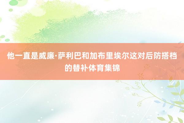 他一直是威廉·萨利巴和加布里埃尔这对后防搭档的替补体育集锦