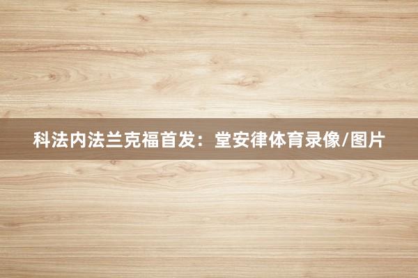 科法内法兰克福首发：堂安律体育录像/图片