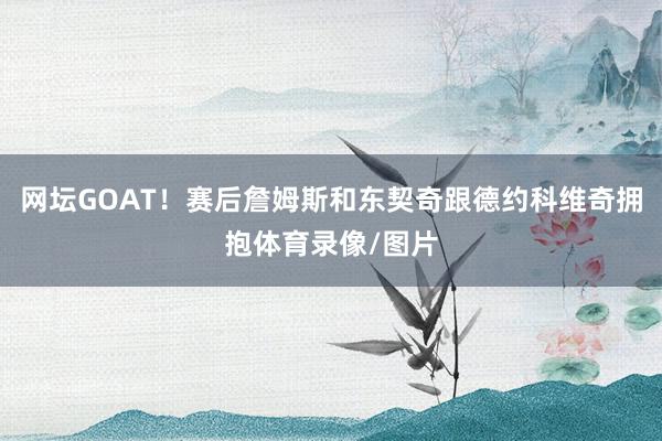 网坛GOAT！赛后詹姆斯和东契奇跟德约科维奇拥抱体育录像/图片